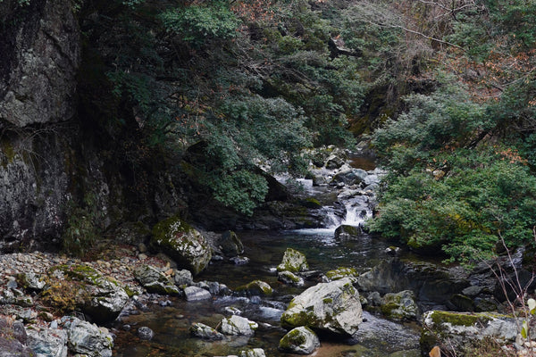 レモクロヒストリー 第6話|レモクロが目指した未来