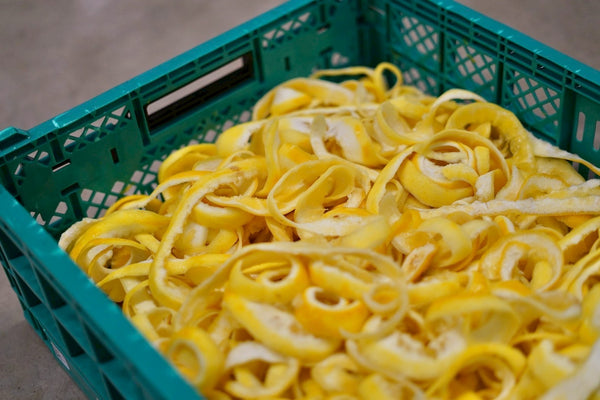 広島レモンの果皮も、栄養面で注目されています