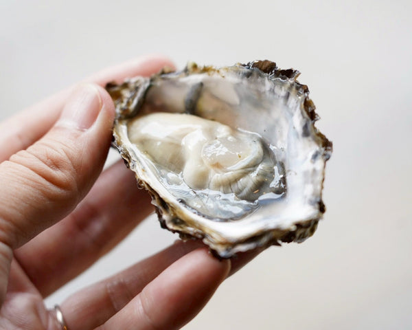 広島で地元産の牡蠣とレモンを愉しむ