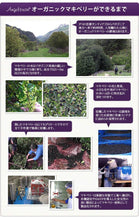 画像をギャラリービューアに読み込む, エンジェルビーン マキドロップ オーガニックJAS マキベリー 濃縮エキス 原液 195g