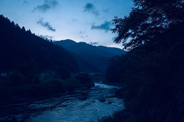 湯来の夜、ホタルの灯火と巡る季節