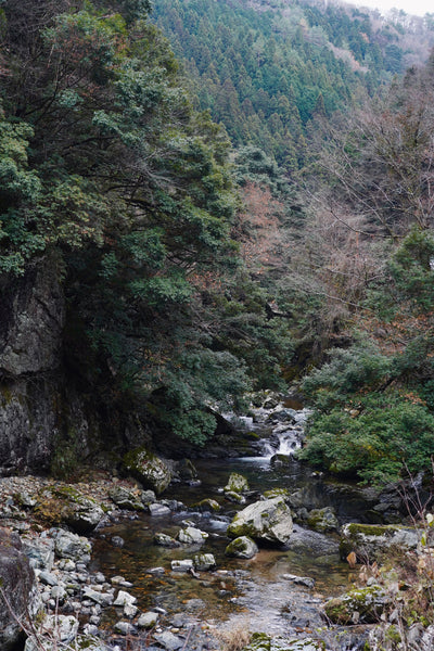 レモクロヒストリー  第6話｜レモクロが目指した未来