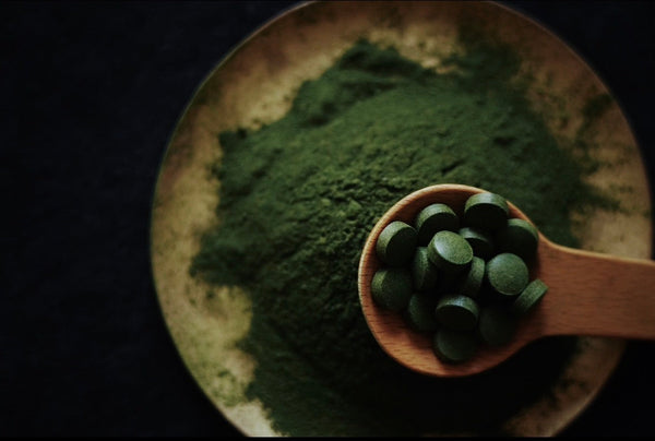 レモクロヒストリー  第3話｜なぜクロレラだったのか