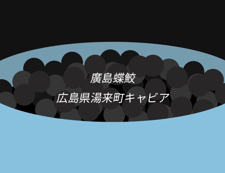 廣島蝶鮫 広島県湯来町キャビア